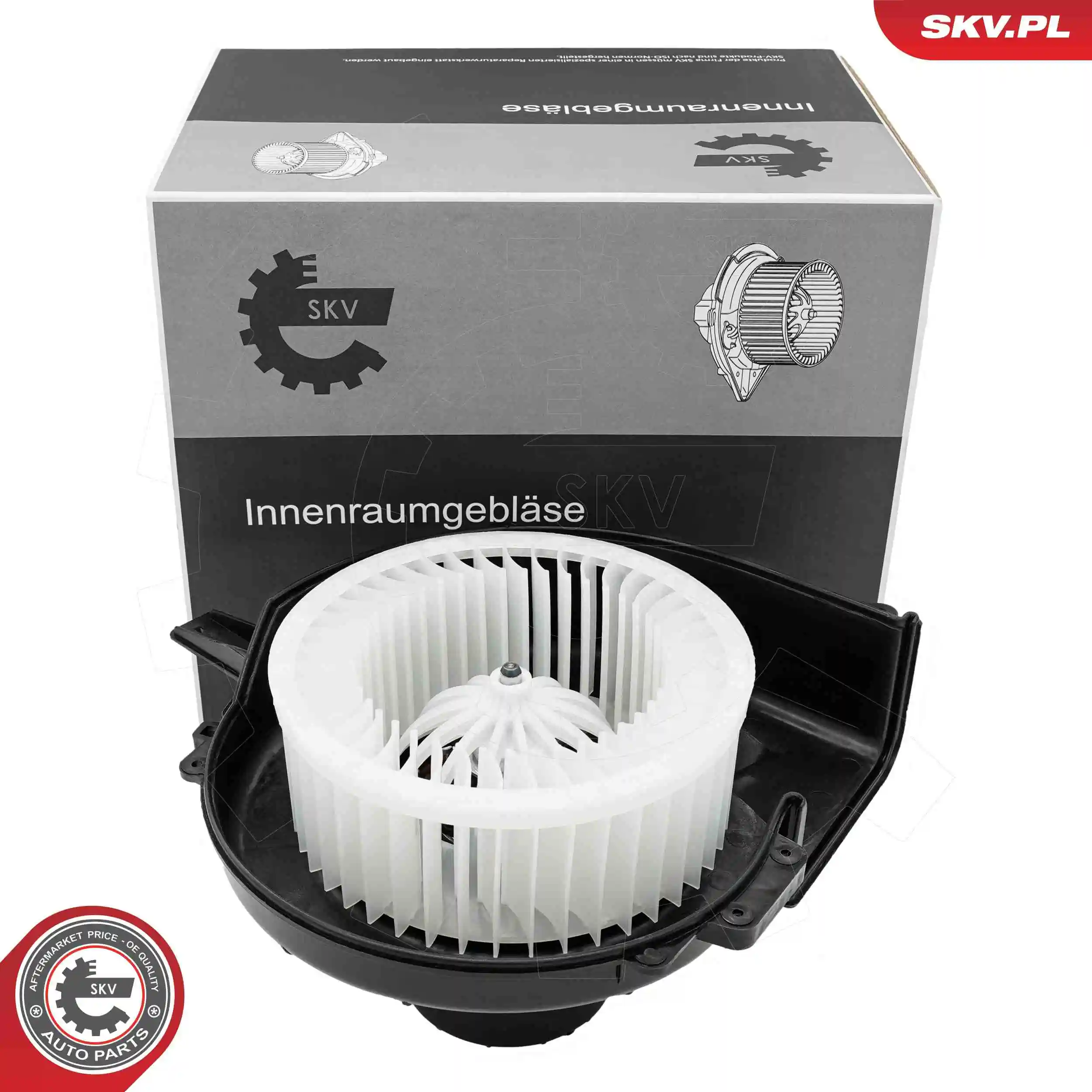 Interior Blower